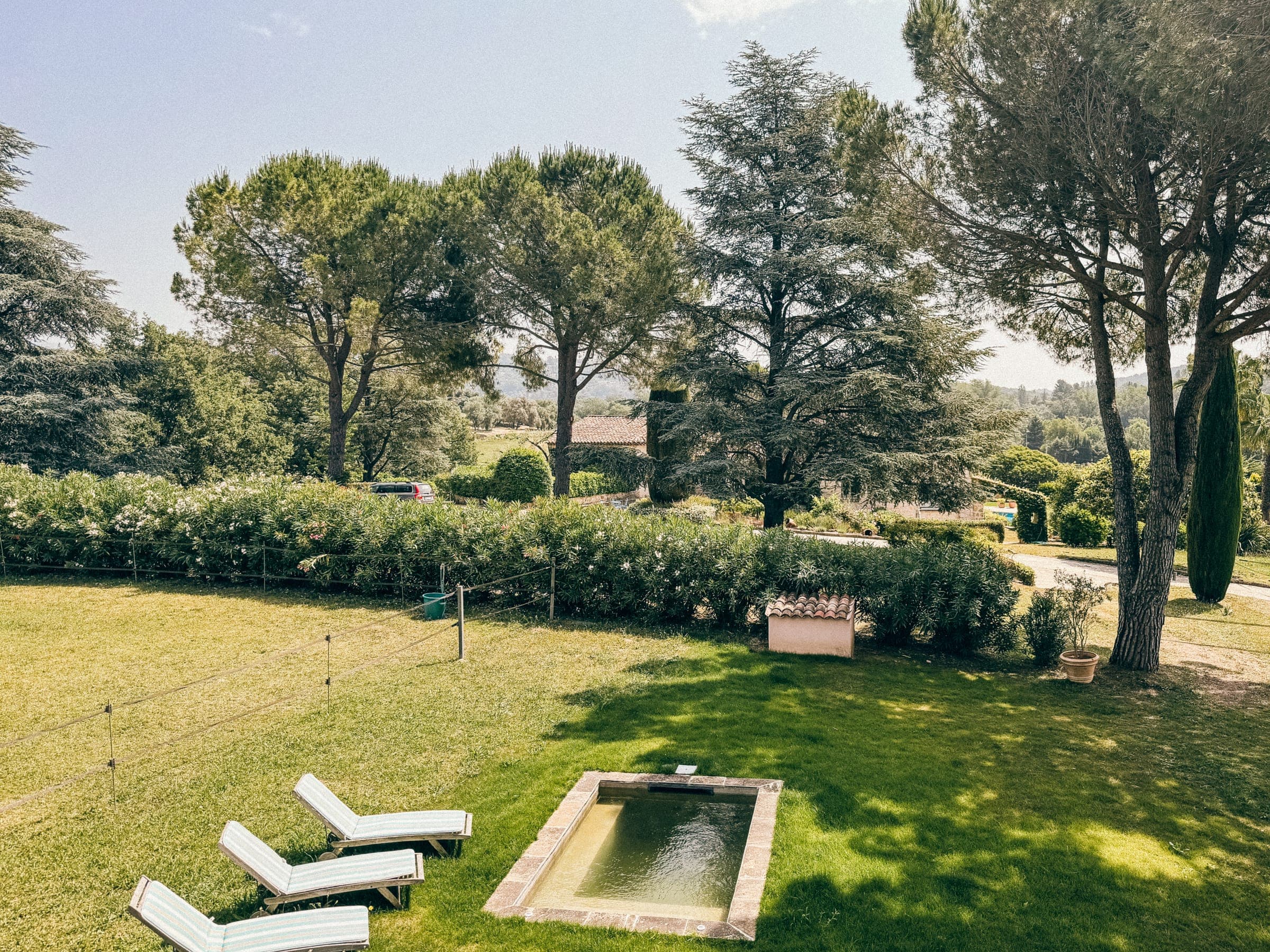 Sun loungers beside the pool on the lawn, framed by pines and cypress trees
